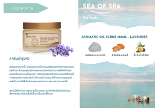 Sos - Marketing & Advertisement - Brochure - Aromatic Oil Scrub 350ml - Lavender - 1Pack 500Pcs